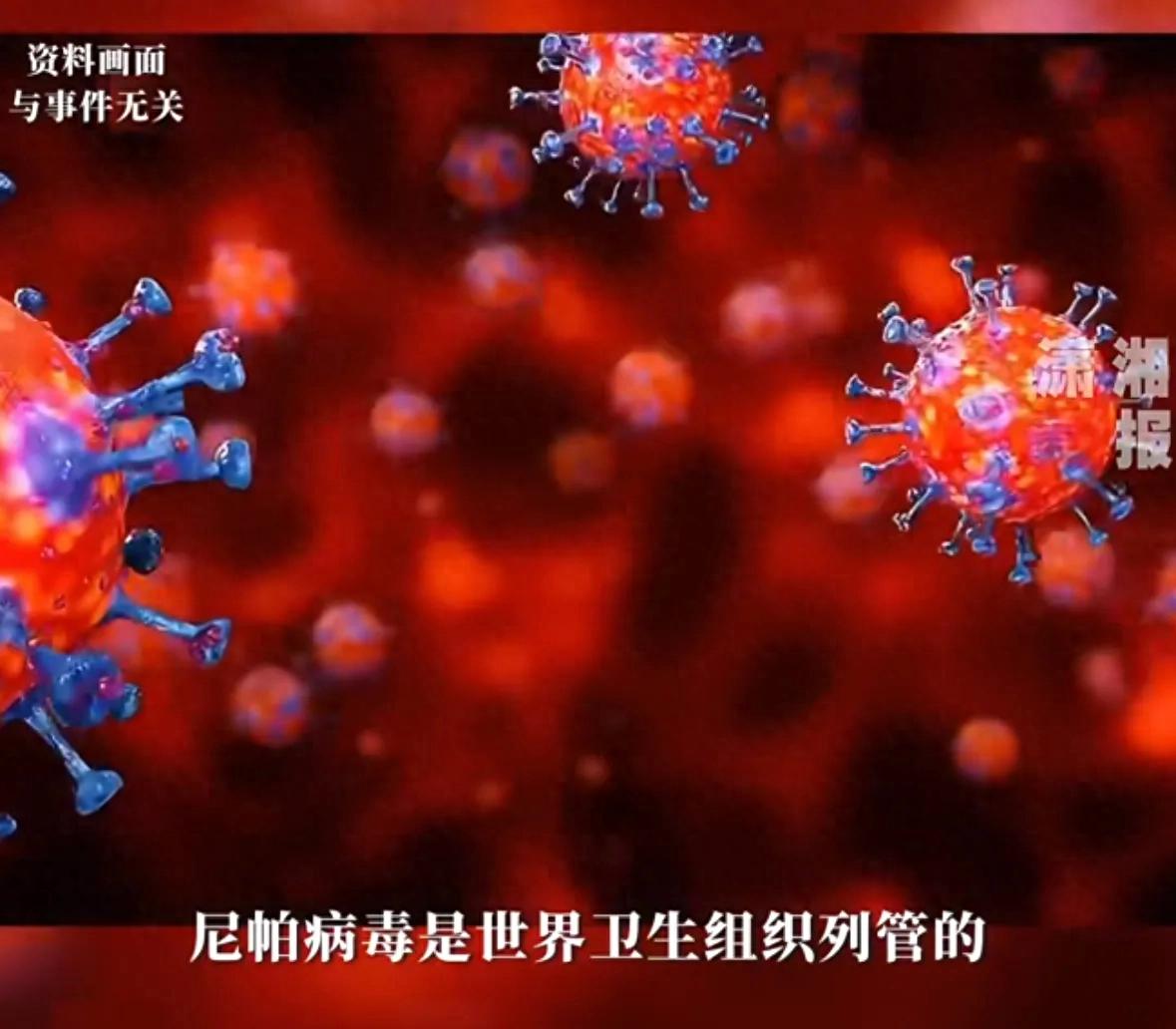 尼帕病毒防护要点_尼帕病毒出入境防控_全球疫情