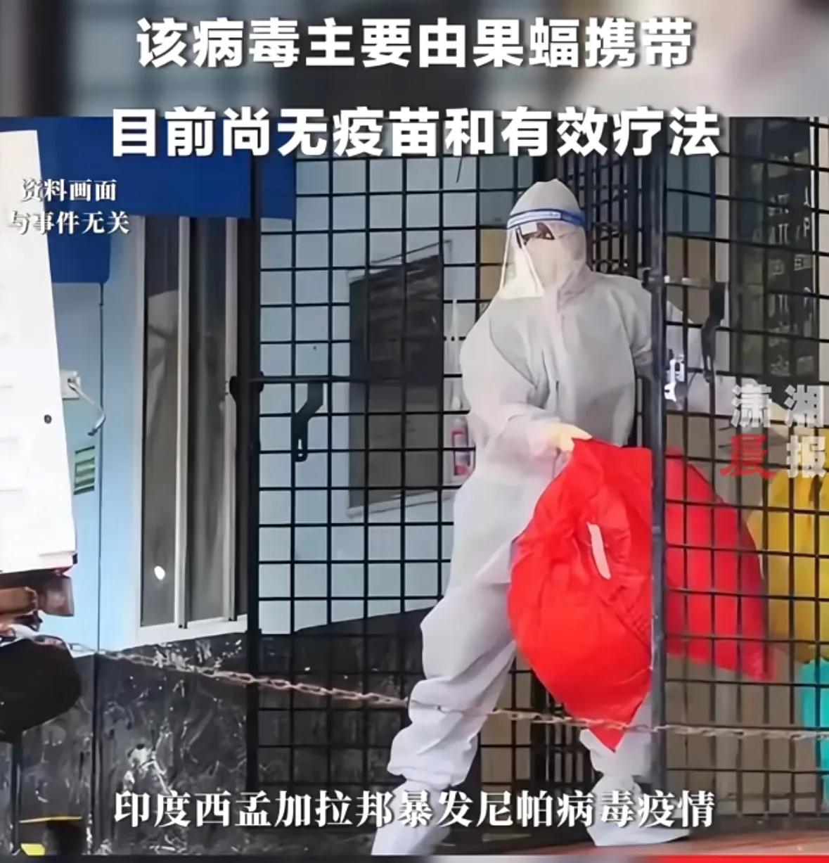 全球疫情_尼帕病毒防护要点_尼帕病毒出入境防控