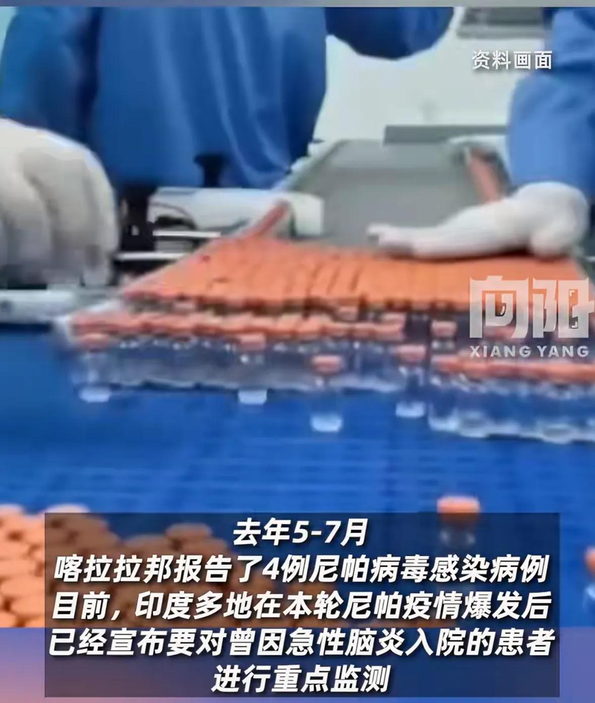 全球疫情_尼帕病毒防护要点_尼帕病毒出入境防控